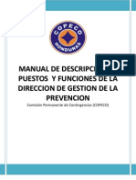 4 - Descripcion de Puestos y Funciones de La Direccion Gestion de La Prevencion Version Final 2010