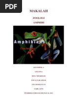 Download AMPHIBI KELOMPOK 4 by Dwi Yunar Azhar SN111552888 doc pdf