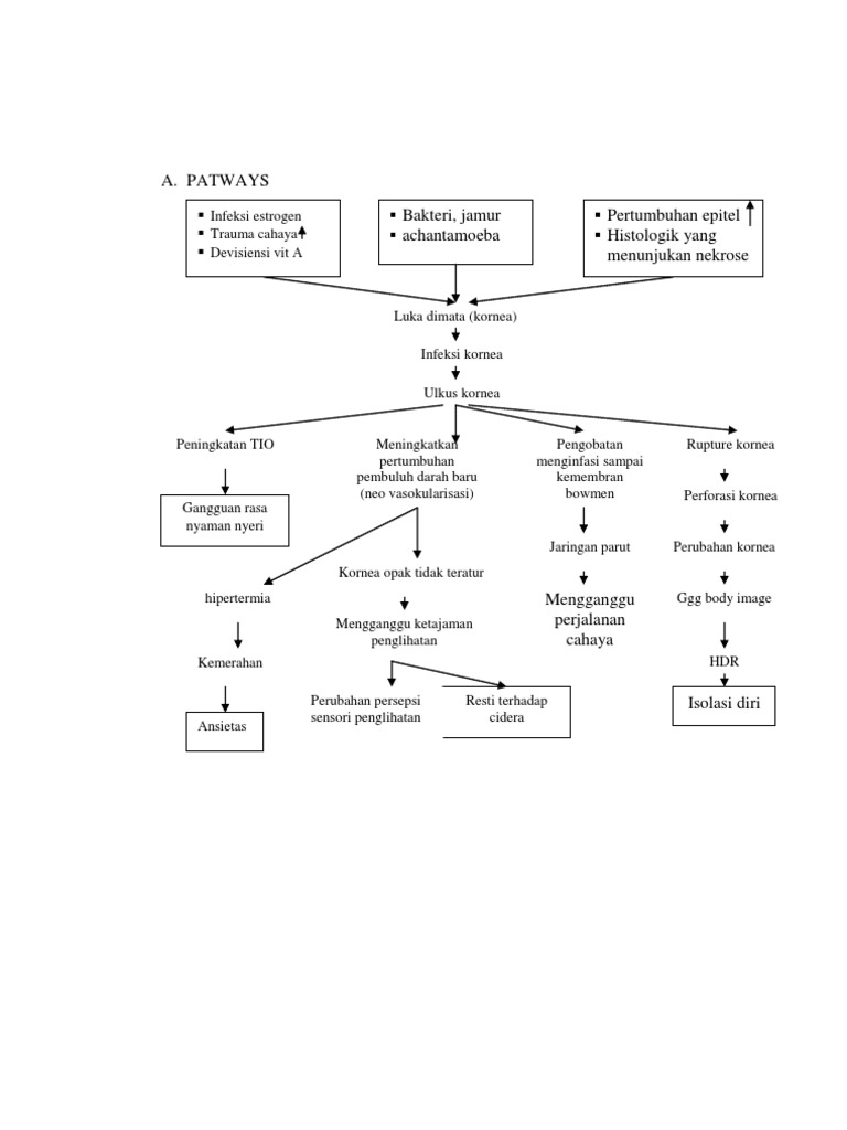 Pathway Ulkus Kornea Pathway Ulkus Kornea