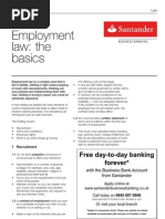 Directors - Briefing - Employment Law The Basics