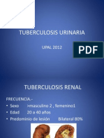 Tuberculosis Urinaria