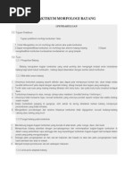 Download Laporan Praktikum Morfologi Batang by SatriaAdiNugroho SN111567521 doc pdf