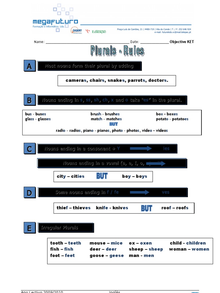 English Plural Nouns Practice Guide | PDF