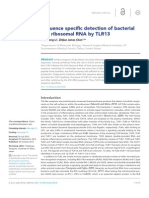 Sequence specific detection of bacterial 23S ribosomal RNA by TLR13