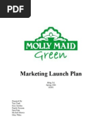Download marketing plan cleaning service by nitinwalia83838 SN11159349 doc pdf
