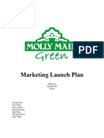 Marketing Plan Cleaning Service