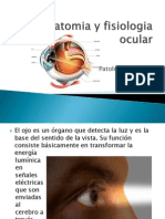 Anatomia y Fisiologia Ocular