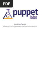 Download Learning Puppet by apletonprince SN111616065 doc pdf