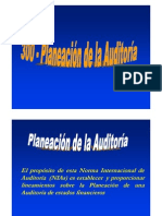 20195239 300 Planeacion de Auditoria[1]