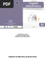 100833982-Manual-Pre-natal-2012