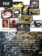 ESPECIAÇÃO E EXTINÇÃO