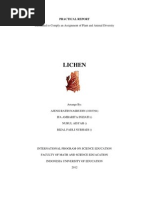 Download Practical Report of Lichen by Nurul Aisyah SN111636056 doc pdf