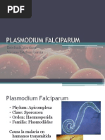 Download PLASMODIUM-FALCIPARUM by MILTON  WILLIAM SN111646319 doc pdf