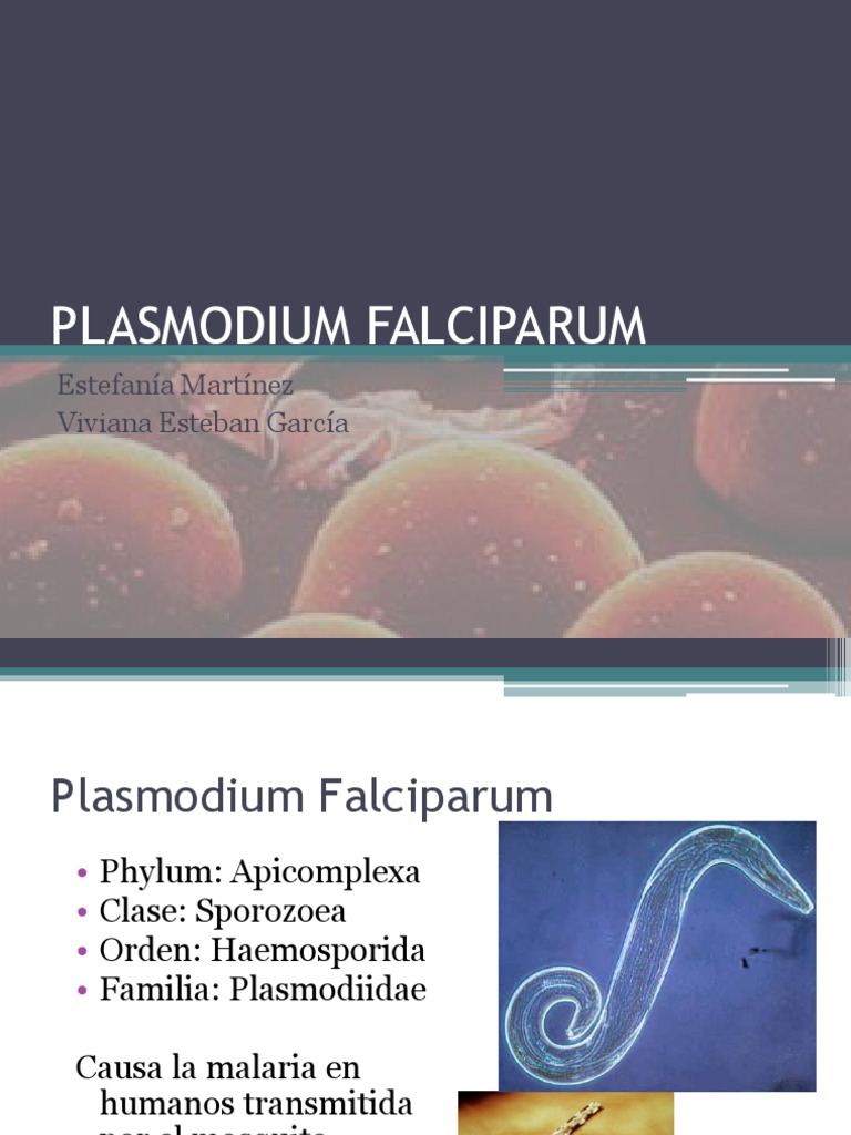 PLASMODIUM-FALCIPARUM | Malaria | Plasmodium Falciparum