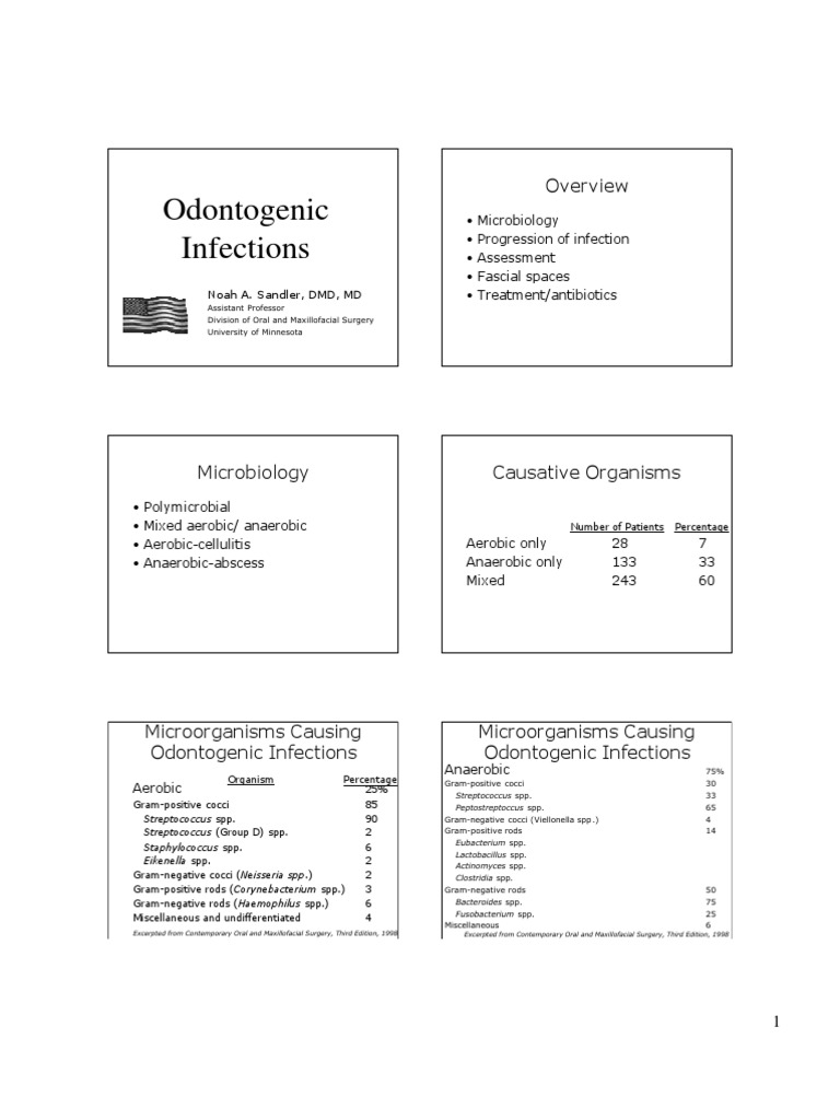 Odontogenic Infections Antibiotics Gram Positive Bacteria