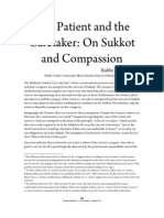 The Patient and The Caretaker: On Sukkot and Compassion: Rabbi Zvi Sinensky