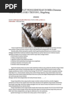 Download Pakan Komplit Penggemukan Domba Disusun Oleh Ir by Charly Atb SN111675873 doc pdf