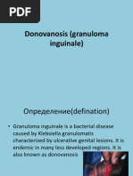 Download Donovanosis granuloma inguinalepps by Aiman Tymer SN111698321 doc pdf