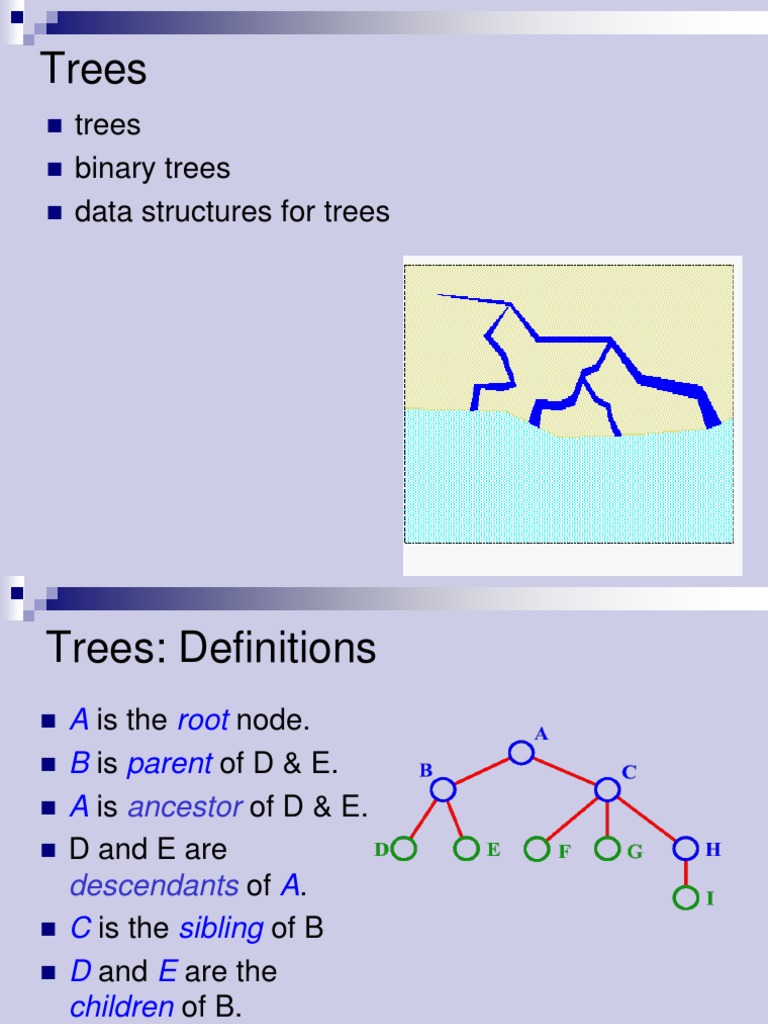 Understanding Trees and Binary Trees | PDF | Teaching Methods & Materials