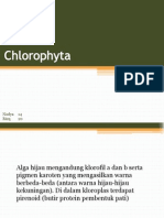 Chlorophyta (Ind)