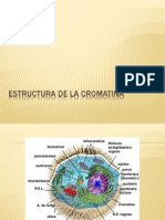 Estructura de La Cromatina