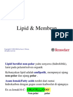 3. Lipid Dan Membran