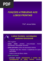 Lobo Frontal