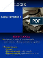Histologie Lp 1
