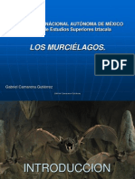 Murcielagos