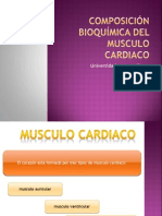 Composición Bioquímica Del Musculo Cardiaco