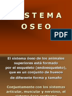 sistema-oseo-1233702406083793-3