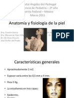 Anatomía y Fisiología de La Piel