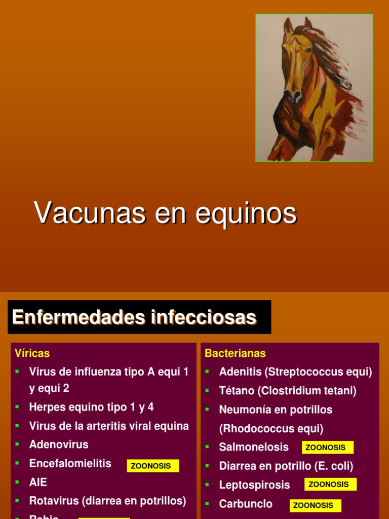 Vacunas en Equinos Vacunas Salud pública