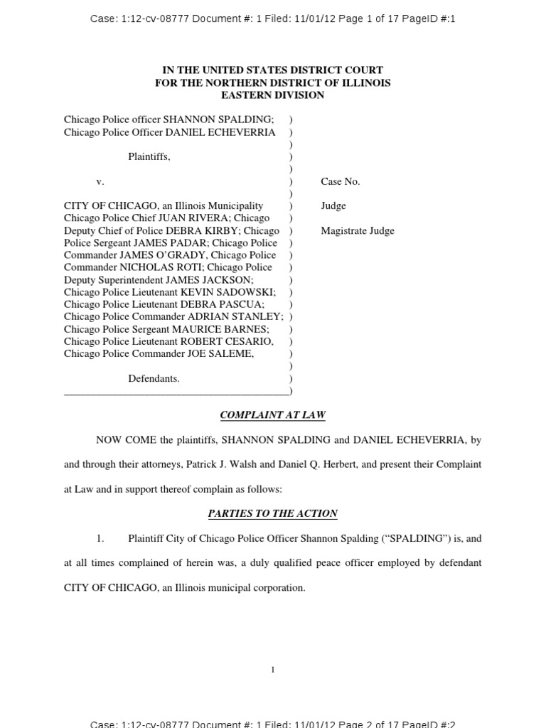 Complaint PDF Punitive Damages Damages
