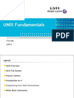 UNIX Fundamentals 2010