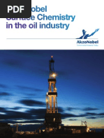 Download AKZO Brochure Oil Field by Francesco Palumbo SN111897070 doc pdf