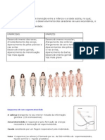 Ciências 9º - Sist Reprodutor Resumos