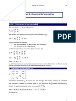 Module 2: Déterminant D'une Matrice