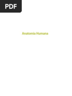 Livro Anatomia Humana Professor Hamilton
