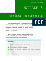 3 Sistema Respirat Rio