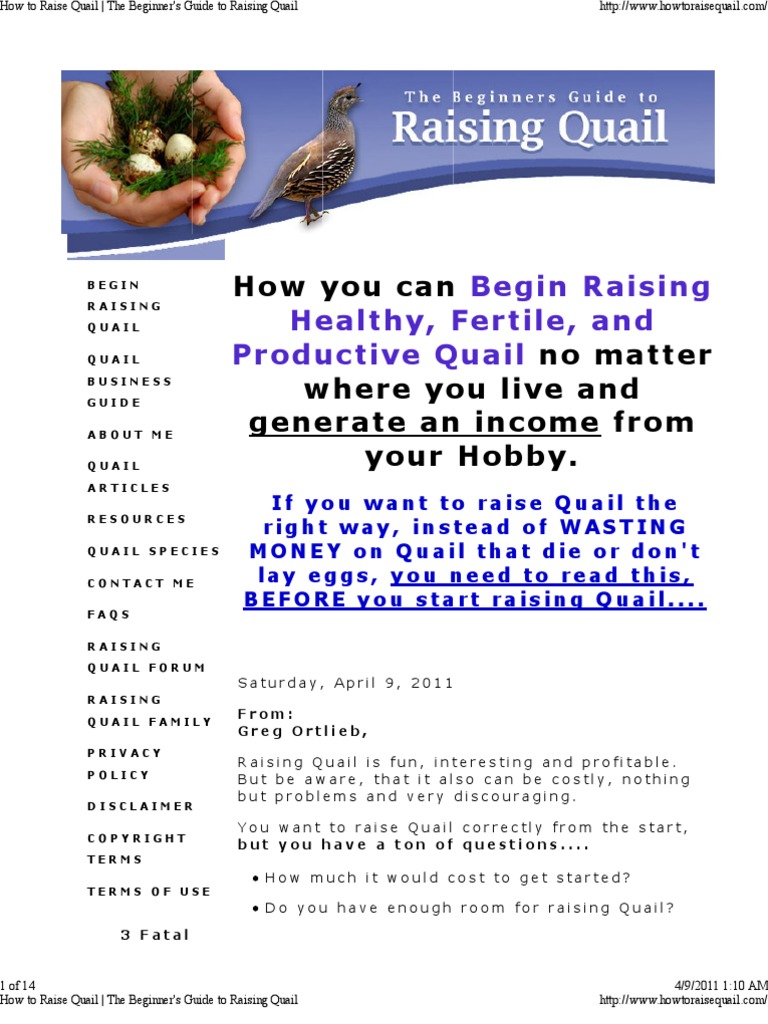 How to Raise Quail _ the Beginner's Guide to Raising Quail Birds