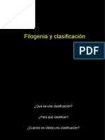 13 Filogenia