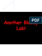 Another Bloody Lab!
