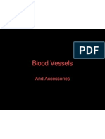 24 Blood Vessels
