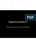 Digestive System II: The Lab Everyone Can Stomach!