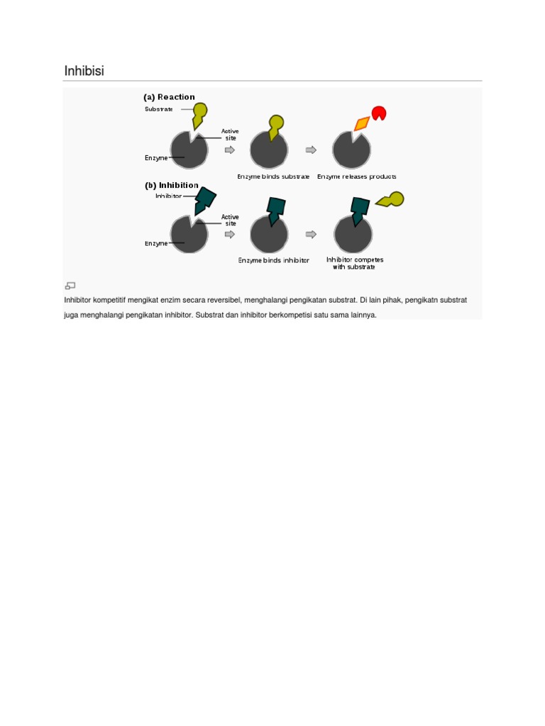 Jenis-Jenis Inhibisi Enzim dan Contohnya | PDF