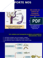 Transporte Nos Animais