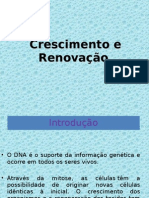 Crescimento e Renovação Celular