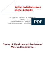 The Renal System Juxtaglomerulous Apparatus &bladder