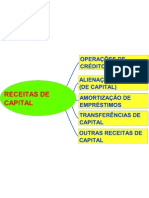 Mapa Mental - Receitas Da Capital